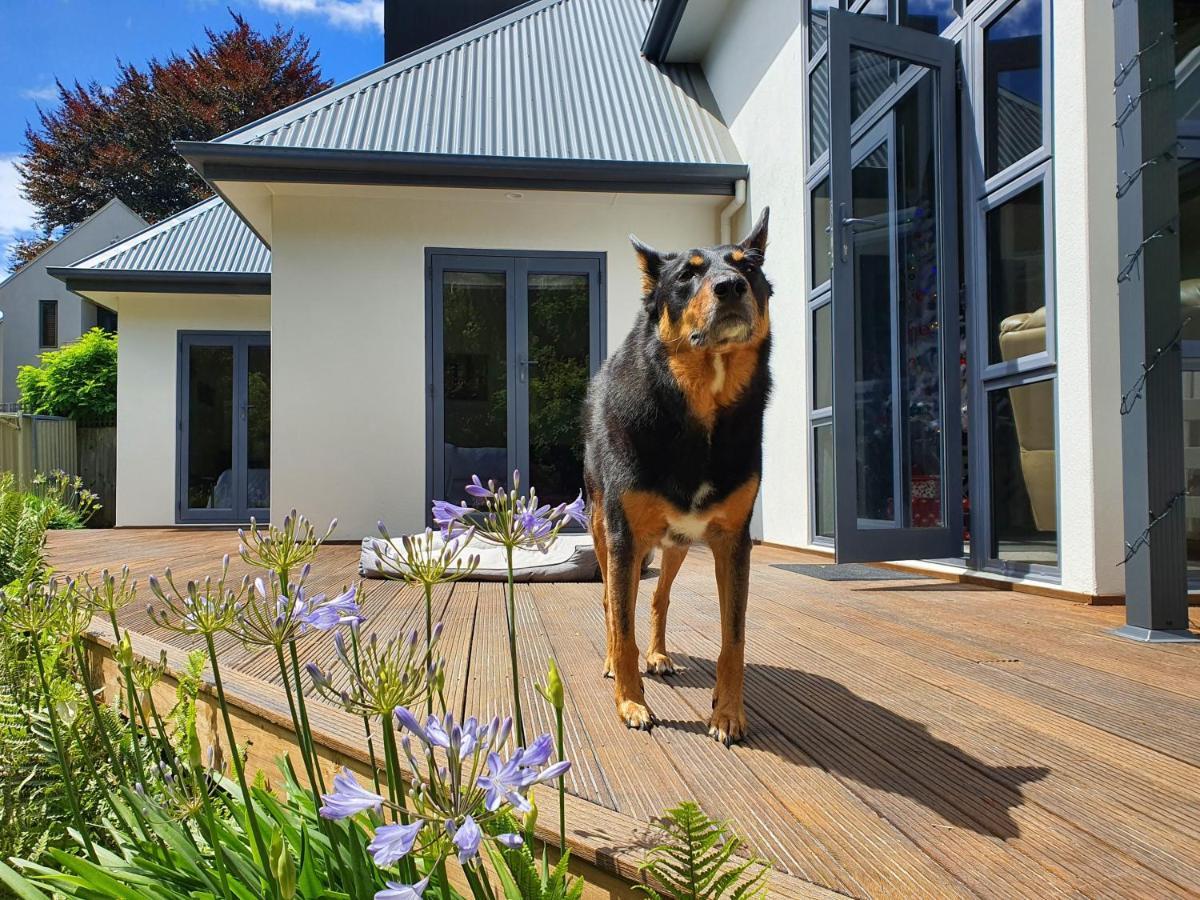 Christchurch Airport House 外观 照片